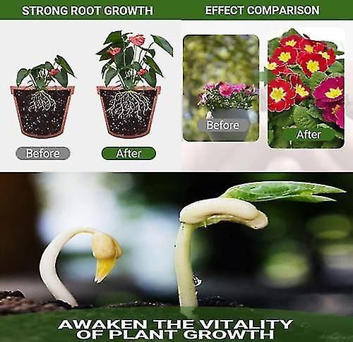 Special Bone Meal Organic Fertilizer, Promote The Growth Of Flowers And Fruits  Pack of 1